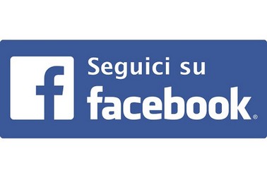 segui camarida su facebook